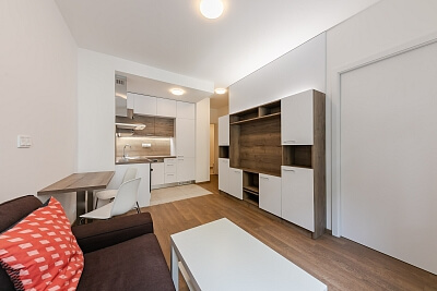 Řipská, Vinohrady - Praha 3 | Pronájem, Byt 2+kk, 33 m²