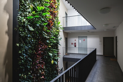 U Matěje, Dejvice - Praha 6 | Pronájem, Byt 2+kk, 63 m²