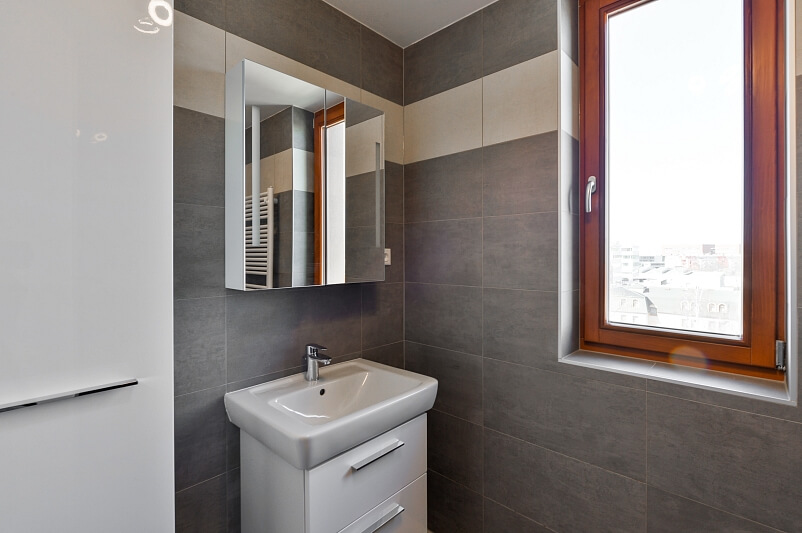 Vokáčova, Michle - Prague 4 | Rent, Apartment One-bedroom (2+kk), 153 m²