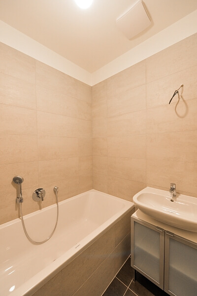 Korunovační, Bubeneč - Prague 7 | Rent, Apartment One-bedroom (2+1), 75 m²