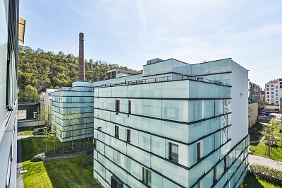 Šaldova, Karlín - Praha 8 | Pronájem, Byt 2+kk, 78 m²