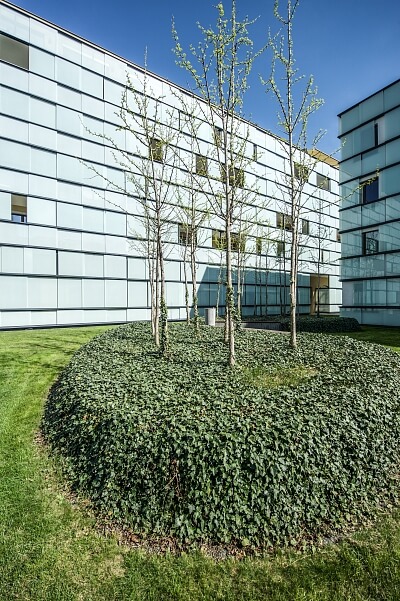 Šaldova, Karlín - Prague 8 | Rent, Apartment One-bedroom (2+kk), 78 m²