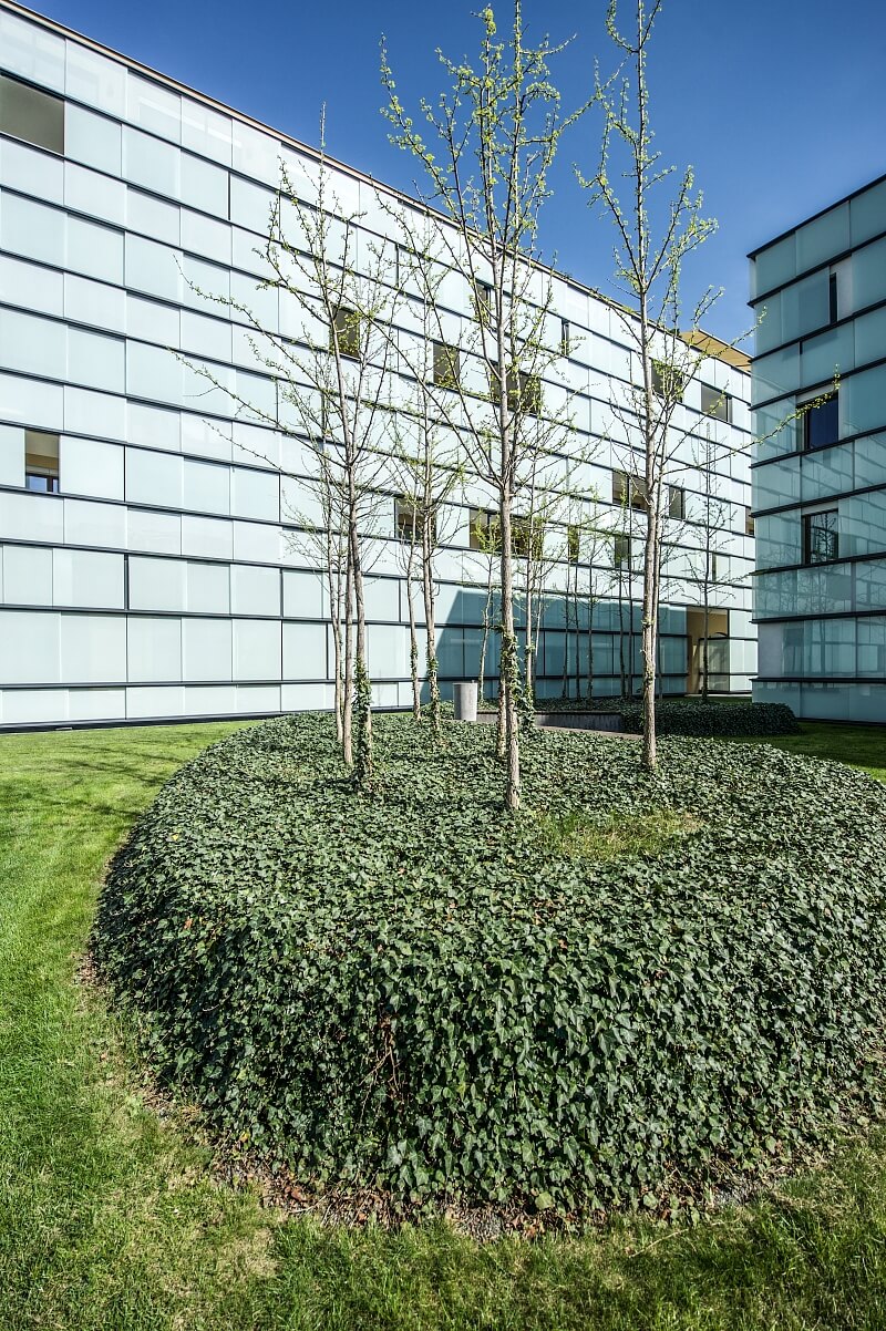 Šaldova, Karlín - Prague 8 | Rent, Apartment One-bedroom (2+kk), 78 m²