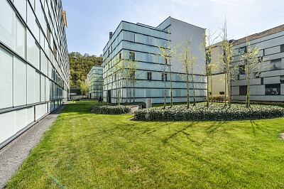 Šaldova, Karlín - Praha 8 | Pronájem, Byt 2+kk, 78 m²