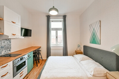 Bořivojova, Žižkov - Praha 3 | Pronájem, Byt 1+kk, 30 m²