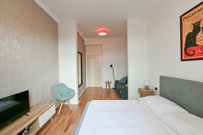 Bořivojova, Žižkov - Prague 3 | Rent, Apartment Studio (1+1), 39 m²