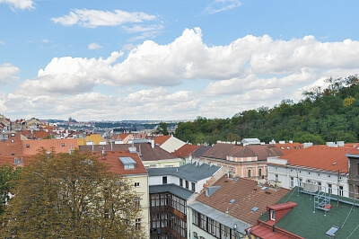 Dalimilova, Žižkov - Prague 3 | Rent, Apartment One-bedroom (2+kk), 52 m²