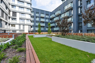 Olšanská, Žižkov - Praha 3 | Pronájem, Byt 2+kk, 76 m²