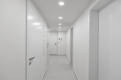 Olšanská, Žižkov - Prague 3 | Rent, Apartment One-bedroom (2+kk), 75 m²