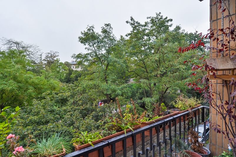 Rybalkova, Vršovice - Prague 10 | Rent, Apartment Two-bedroom (3+1), 77 m²