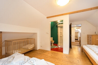 Cikanecká, Svratka - Žďár nad Sázavou | Prodej, Rodinný dům 6+1, 262 m²