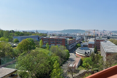 U Rajské zahrady, Žižkov - Praha 3 | Pronájem, Byt 2+kk, 61 m²