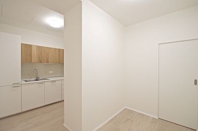 Lucemburská, Vinohrady - Prague 3 | Rent, Apartment One-bedroom (2+kk), 54 m²