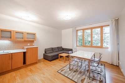 Závěrka, Břevnov - Prague 6 | Rent, Apartment One-bedroom (2+kk), 62 m²