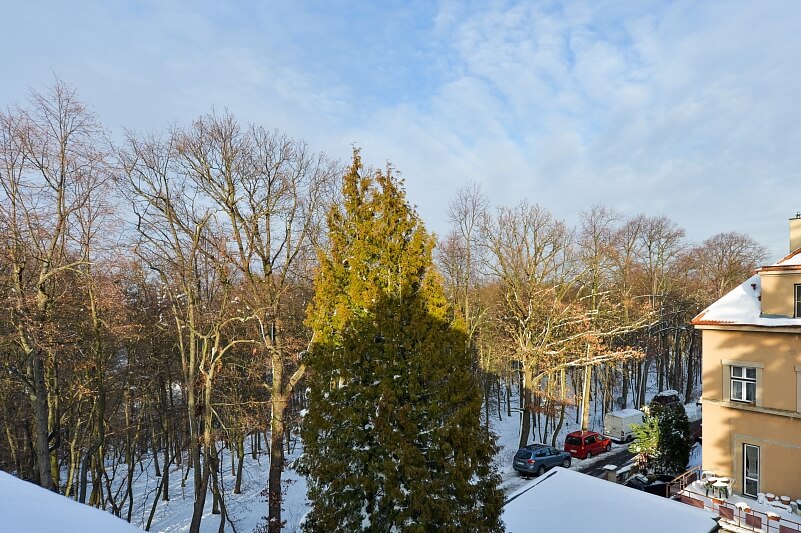 Soborská, Dejvice - Prague 6 | Rent, Apartment Three-bedroom (4+1), 155 m²