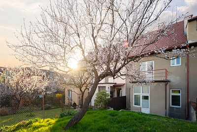 Martinkova, Brno - Černá Pole - Brno-město | Prodej, Rodinný dům 5+kk, 244 m²