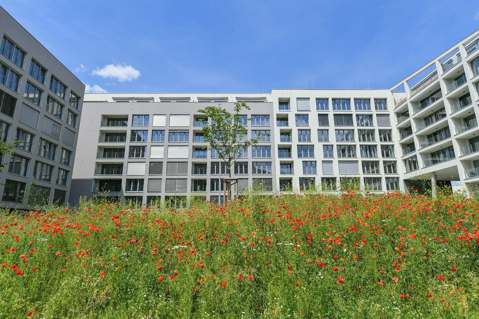 U Mlýnského kanálu, Karlín - Prague 8 | Rent, Apartment One-bedroom (2+kk), 51 m²