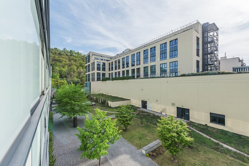 Šaldova, Karlín - Praha 8 | Pronájem, Byt 2+kk, 65 m²