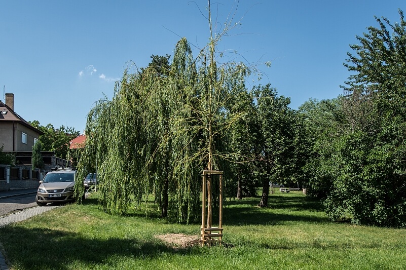 Na Čihadle, Dejvice - Praha 6 | Pronájem, Rodinný dům 6+1, 230 m²