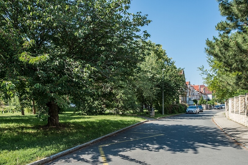 Na Čihadle, Dejvice - Praha 6 | Pronájem, Rodinný dům 6+1, 230 m²