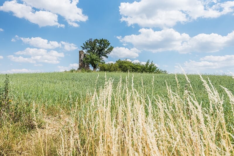 Ke Kapli, Bubovice - Beroun | Prodej, Rodinný dům 4+kk, 173 m²