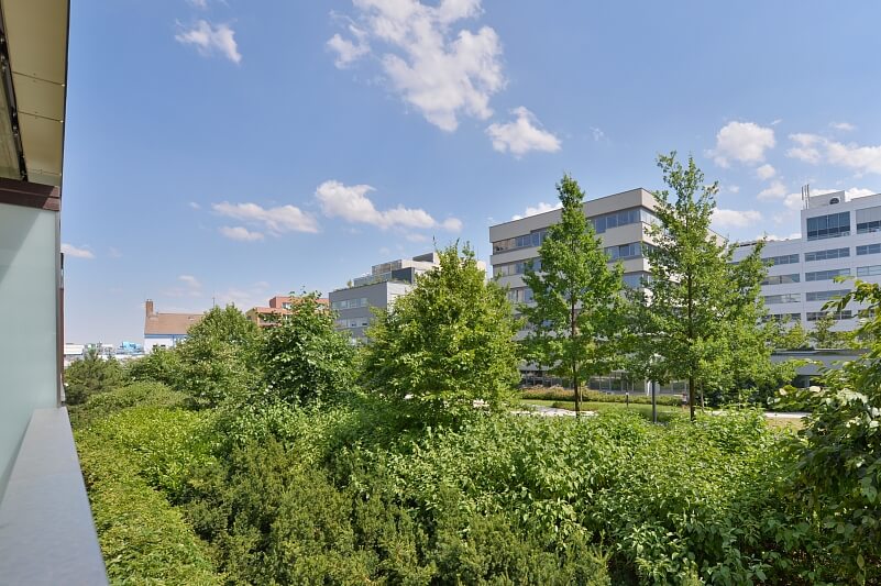 Baarova, Michle - Praha 4 | Pronájem, Byt 2+kk, 66 m²