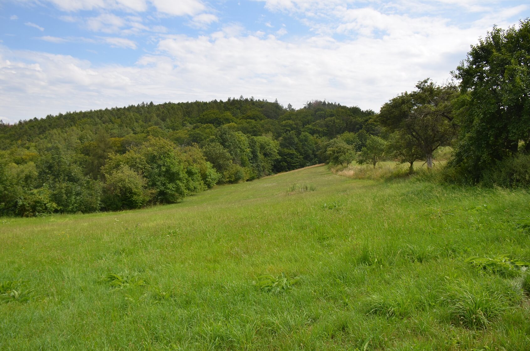 Javůrek, Brno - venkov - Brno-město | Prodej, Pozemek, 7 578 m²