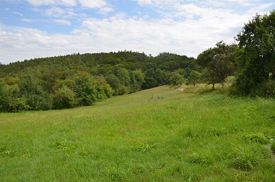 Javůrek, Brno - venkov - Brno-město | Sale, Land, 7 578 m²