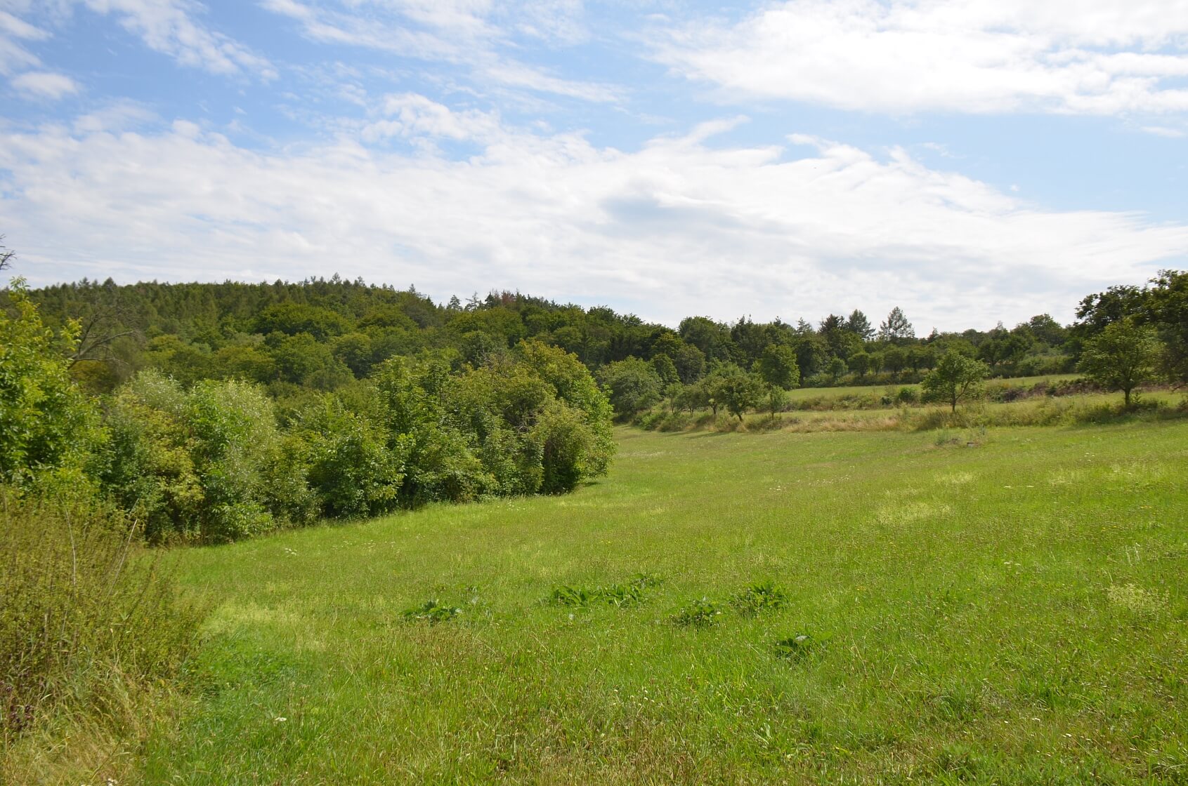 Javůrek, Brno - venkov - Brno-město | Prodej, Pozemek, 7 578 m²