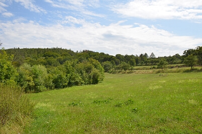 Javůrek, Brno - venkov - Brno-město | Prodej, Pozemek, 7 578 m²