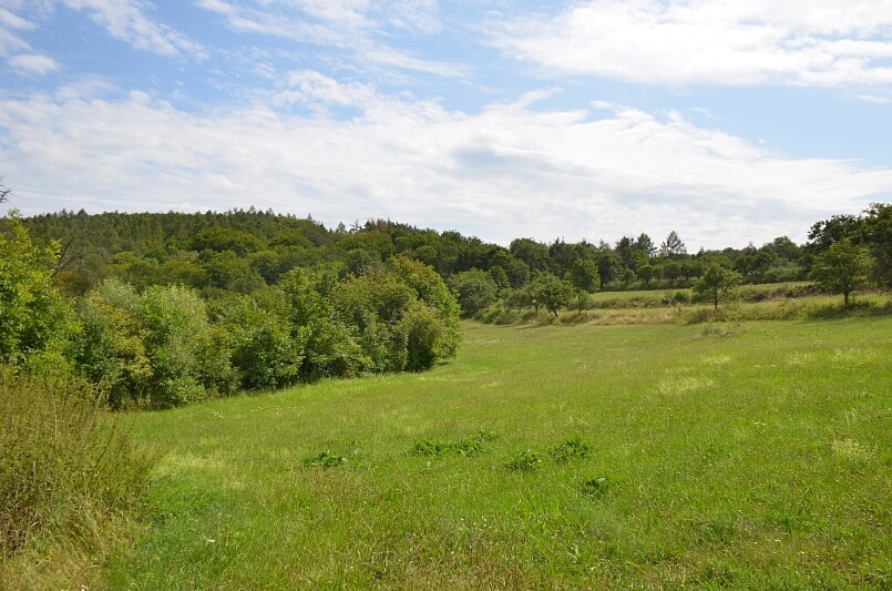 Javůrek, Brno - venkov - Brno-město | Prodej, Pozemek, 7 578 m²