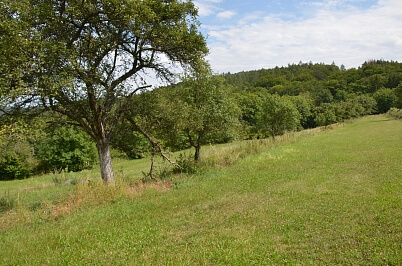 Javůrek, Brno - venkov - Brno-město | Sale, Land, 7 578 m²