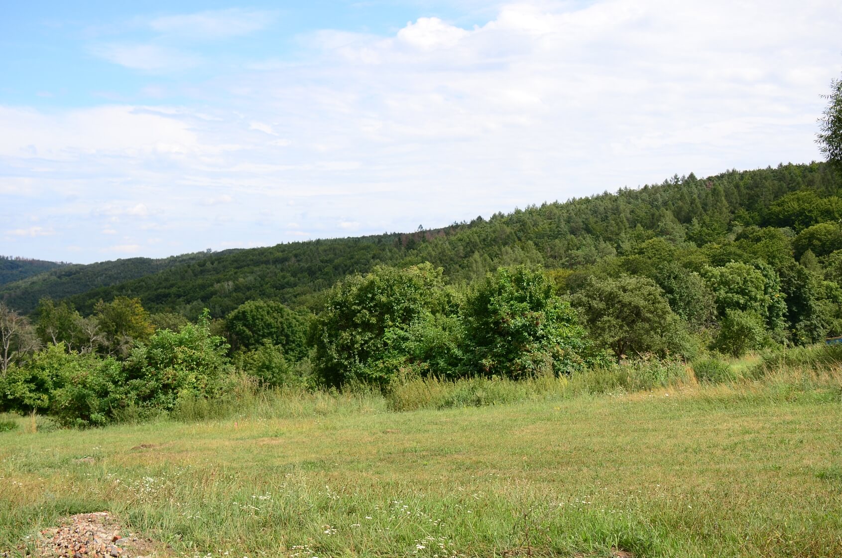 Javůrek, Brno - venkov - Brno-město | Prodej, Pozemek, 7 578 m²