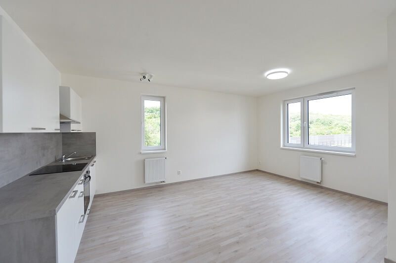 Strnadových, Vysočany - Praha 9 | Pronájem, Byt 1+kk, 57 m²