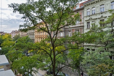 Budečská, Vinohrady - Prague 2 | Rent, Apartment Three-bedroom (4+kk), 128 m²