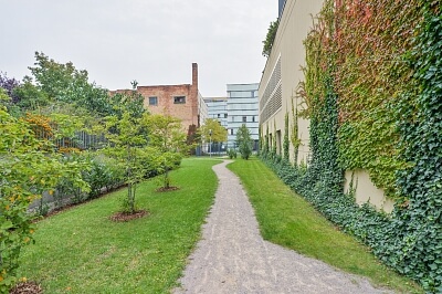 Křižíkova, Karlín - Praha 8 | Pronájem, Byt 2+kk, 62 m²