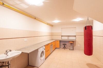 Vančurova, Čelákovice - Praha-východ | Sale, House Five-bedroom (6+kk), 289 m²