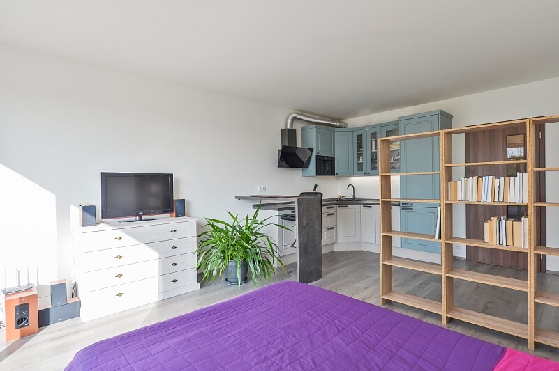 Olgy Havlové, Žižkov - Prague 3 | Sale, Apartment Studio (1+kk), 48 m²
