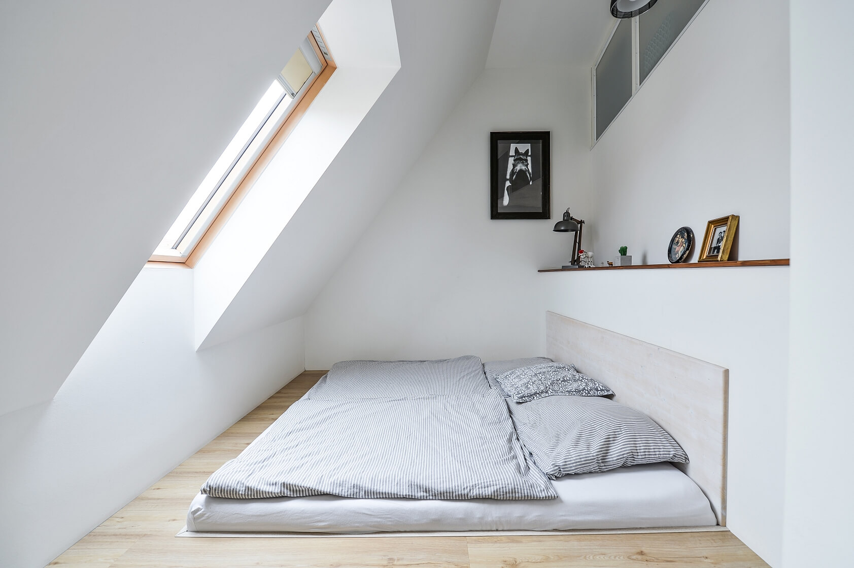 Šimáčkova, Holešovice - Praha 7 | Prodej, Byt 3+kk, 113 m²