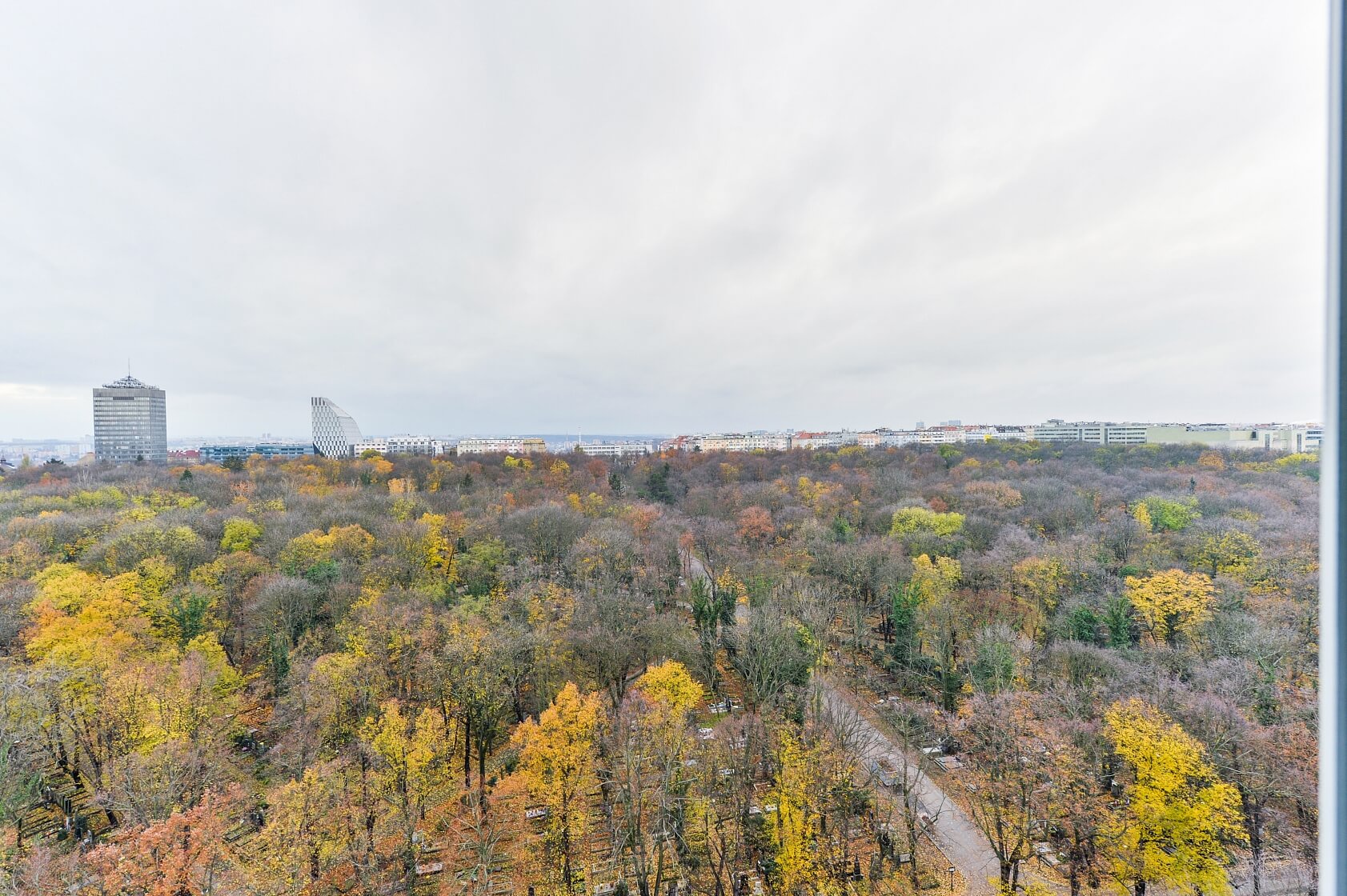 Olšanská, Žižkov - Praha 3 | Pronájem, Byt 3+kk, 86 m²