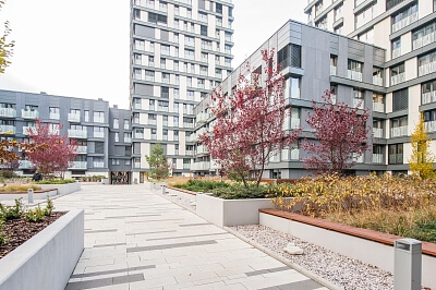 Olšanská, Žižkov - Praha 3 | Pronájem, Byt 3+kk, 86 m²