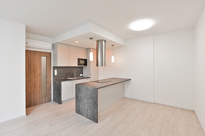 Ctiradova, Nusle - Prague 4 | Rent, Apartment One-bedroom (2+kk), 59 m²
