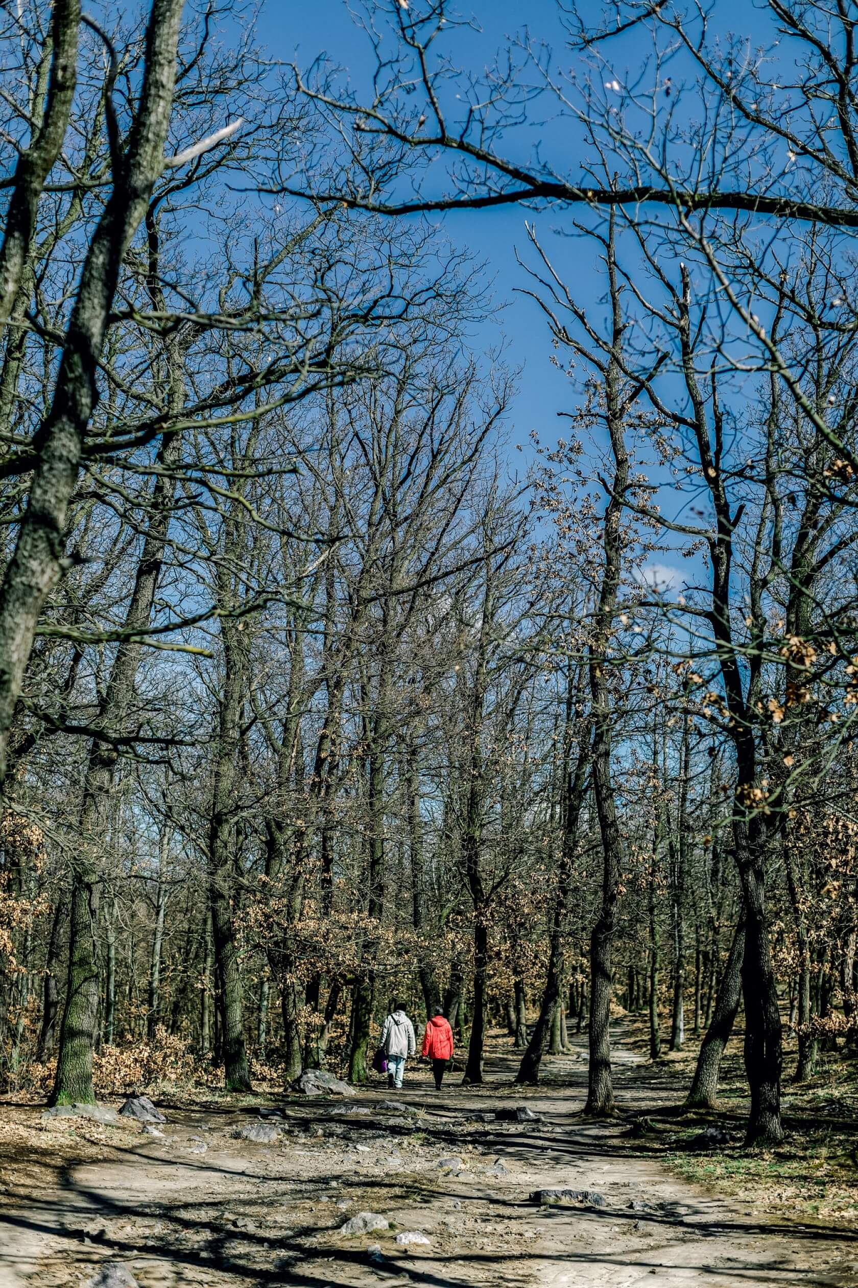 Vršní, Kobylisy - Praha 8 | Prodej, Byt 1+kk, 53 m²