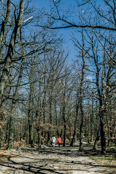 Vršní, Kobylisy - Prague 8 | Sale, Apartment Studio (1+kk), 53 m²