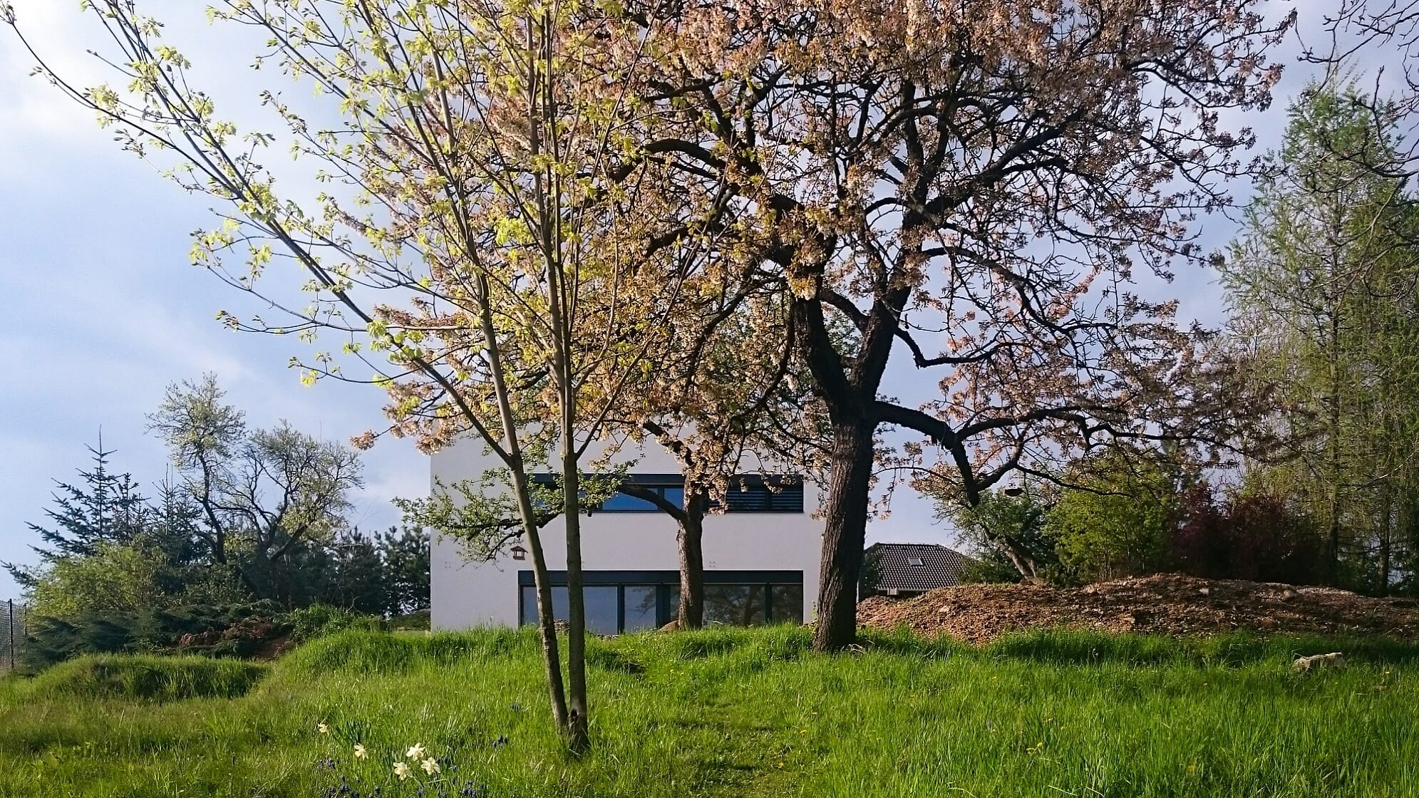 Babice nad Svitavou, Brno-město | Rent, House Four-bedroom (5+kk), 187 m²