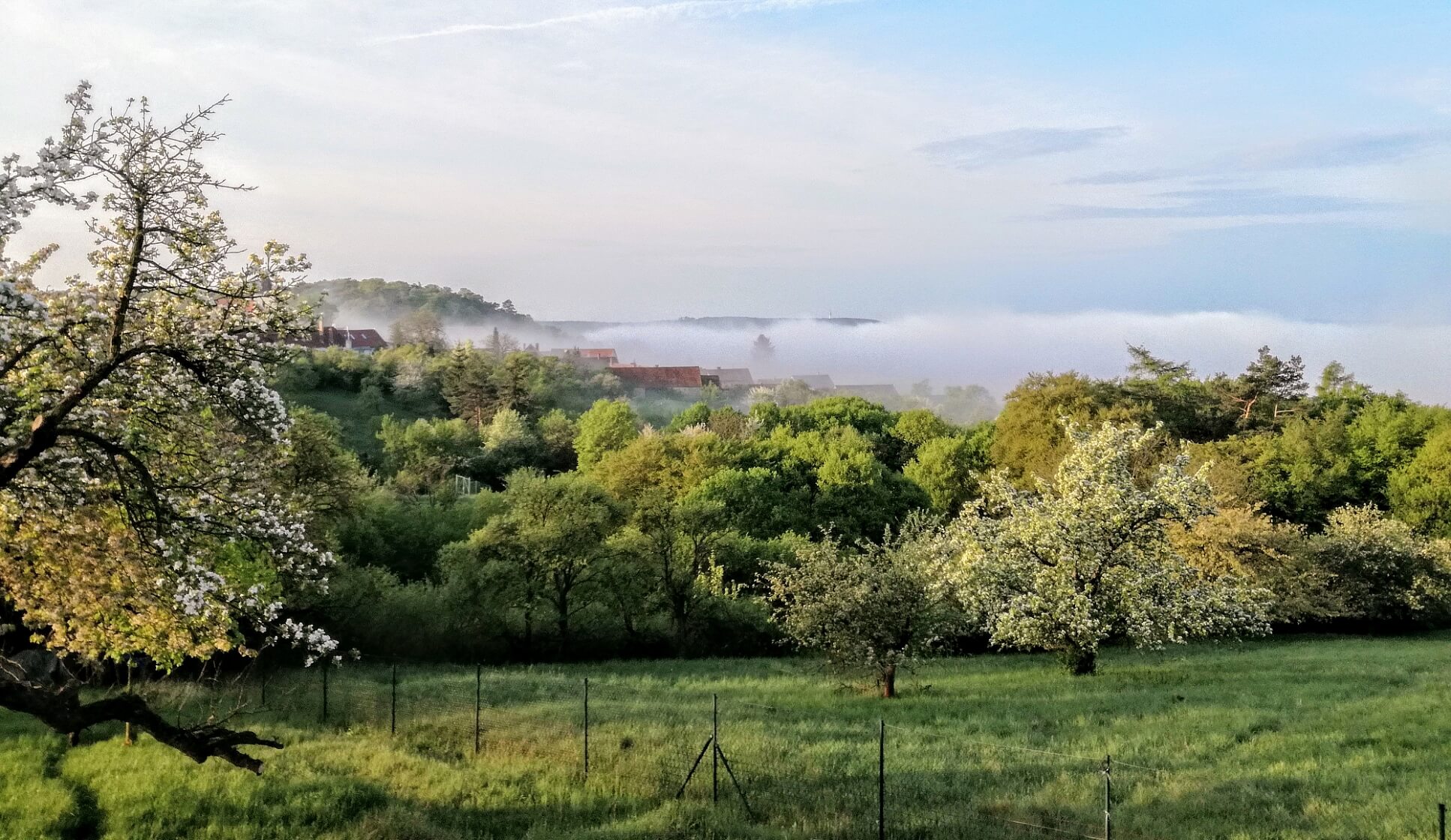 Babice nad Svitavou - Brno-venkov | Rent, House Four-bedroom (5+kk), 187 m²