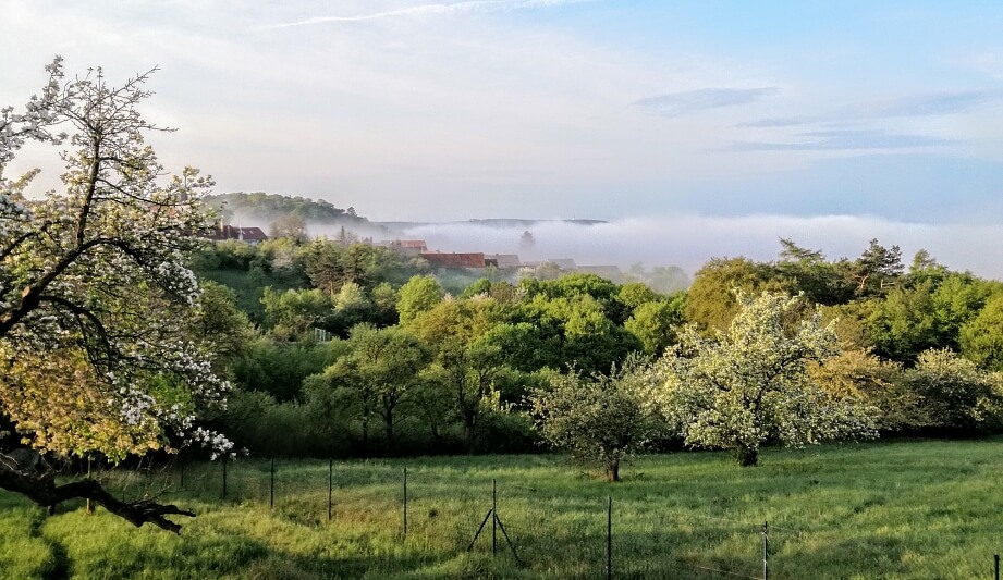 Babice nad Svitavou, Brno-město | Rent, House Four-bedroom (5+kk), 187 m²