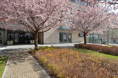 Rohanské nábřeží, Karlín - Praha 8 | Pronájem, Byt 2+kk, 54 m²