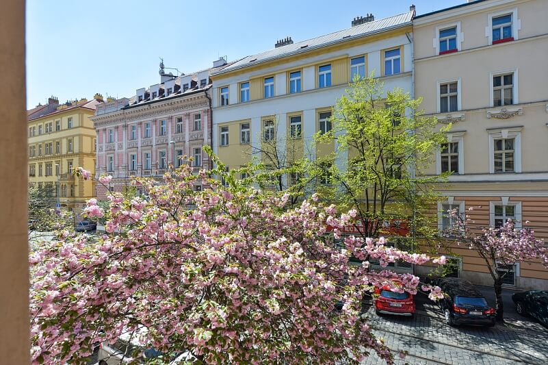 Šafaříkova, Vinohrady - Prague 2 | Rent, Apartment Three-bedroom (4+kk), 125 m²