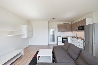 Pod Jarovem, Žižkov - Praha 3 | Pronájem, Byt 2+kk, 67 m²